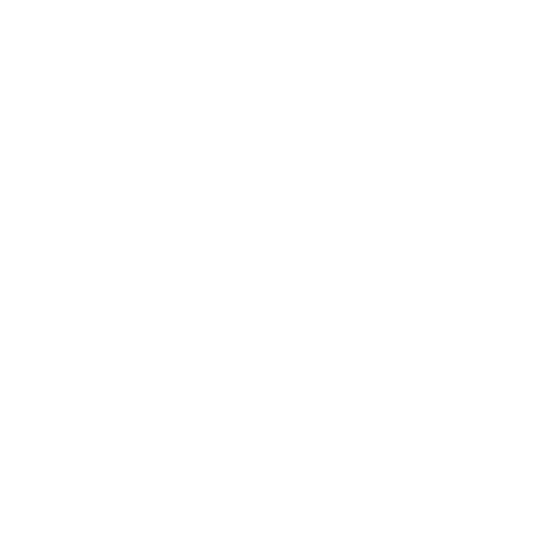 Zander logo